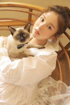 神经刀与飞天猫